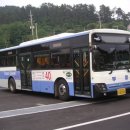 부일여객 이미지