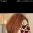 자르세헤어 이미지