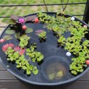 월악산 펜션 이미지