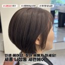세종 세련헤어 내돈내산 여자 컷, 염색, 스타일링 금손 쌤 추천