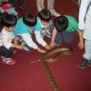 대장부태권도 이미지