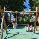 (주)다인파마 이미지