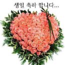 생명나눔 운동..아듀~. 새나회, 사랑의장기기증운동본부 OUT!!!(2012년 5월 21일 - 5월 27일) 이미지