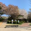 월미공원 전망대 화장실 네이버블로그