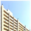 미성동-37 네이버블로그