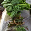 호성농장 이미지