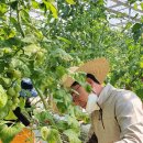 이석용농장 이미지