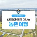 문평명하쪽빛마을 | [농촌체험여행 웰촌?] 반려견과 함께 떠나는 농촌 여행?