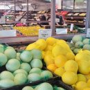 싱싱빅마켓 이미지