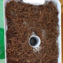 홍삼공인중개사사무소 이미지