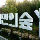 양재시민의숲 테니스장 이미지