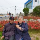 로뎀나무의원 이미지