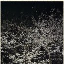 천마태권도장 이미지