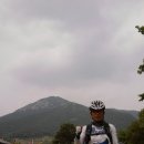 용산면사무소 이미지