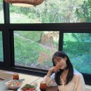 미도아