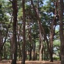 송림한옥민박 이미지