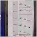 점핑다이어트 | 신정동 목동 점핑, 하루 1시간으로 땀 폭발! 지방 태우는 점핑다이어트 후기