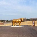 우천목장 이미지