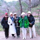 바다추억 Daum카페