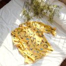 꼼빠니아 이미지