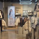 강남-183 | 강남점에서 윈터 패딩부터 뉴발란스 플라잉77 슈퍼라이트 경량 구스다운까지 사이츠 체크 및 착용 후기