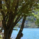 강촌초코민트 이미지