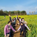 제주도 카니발 렌트 기사포함으로 더 편안했던 제주 여행