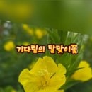 남도수목관리