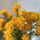 금산수자원공사 이미지