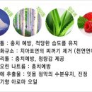 (주)쏘필름