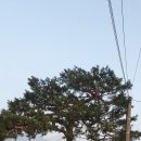 의혜공주.한경록쌍분묘 | 초보산꾼 사진 답사기(경흥길) : ​ 호원동01(의정부시) - 한양 관문에 지명으로만 남은 다락원과 장수원...