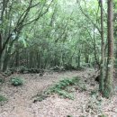 제주 올레길 14-1코스 이미지