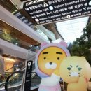 개인택시 태양광발전소 이미지