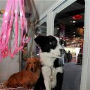 드라이하우스 이미지