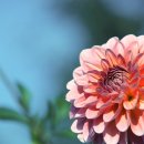 조인공인중개사사무소 이미지