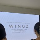 윙즈(WINGZ)