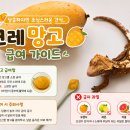 (주)크레푸드 | 크레스티드게코 크레 먹이 가이드: 망고 급여법부터 금지 과일까지