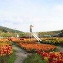 천상한우정육점 네이버블로그