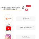 놀러오개 애견 유치원 애견 호텔 이미지