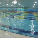 씨엘키즈 이미지