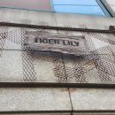 망원동 구경 :: 제로웨이스트샵 타이거릴리 샴푸바, 담금주 키트 담다, 커피 맛집 인덴트커피룸