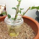 새로운교회 앞 이미지