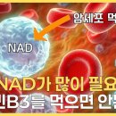 B.B3 이미지