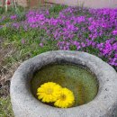 에스타시온 이미지