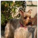 기다리다 이미지