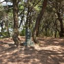 비봉산 정상부 이미지