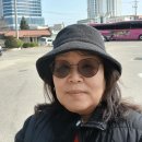 어느쪽을 택해야 이미지
