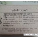 두리솝