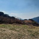 하동 지리산 자락, 최고의 전원주택 부지(건축인허가 완료), 평당 35만원 이미지