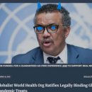 닥터오-코로나 백신 접종 후 코로나 사망자가 폭등했다는 연구 논문 이미지